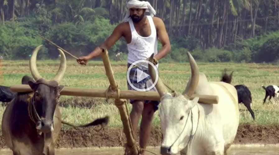 best wedding photographers in virudhunagar,best wedding photography in virudhunagar,best candid photographers in virudhunagar,best candid photography in virudhunagar,best marriage photographers in virudhunagar,best marriage photography in virudhunagar,best photographers in virudhunagar,best photography in virudhunagar,best wedding candid photography in virudhunagar,best wedding candid photographers in virudhunagar,best wedding video in virudhunagar,best wedding videographers in virudhunagar,best wedding videography in virudhunagar,best candid videographers in virudhunagar,best candid videography in virudhunagar,best marriage videographers in virudhunagar,best marriage videography in virudhunagar,best videographers in virudhunagar,best videography in virudhunagar,best wedding candid videography in virudhunagar,best wedding candid videographers in virudhunagar,best helicam operators in virudhunagar,best drone operators in virudhunagar,best wedding studio in virudhunagar,best professional photographers in virudhunagar,best professional photography in virudhunagar,No.1 wedding photographers in virudhunagar,No.1 wedding photography in virudhunagar,virudhunagar wedding photographers,virudhunagar wedding photography,virudhunagar wedding videos,best candid videos in virudhunagar,best candid photos in virudhunagar,best helicam operators photography in virudhunagar,best helicam operator photographers in virudhunagar,best outdoor videography in virudhunagar,best professional wedding photography in virudhunagar,best outdoor photography in virudhunagar,best outdoor photographers in virudhunagar,best drone operators photographers in virudhunagar,best wedding candid videography in virudhunagar